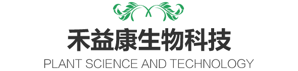 植物提取物研發(fā)和生產